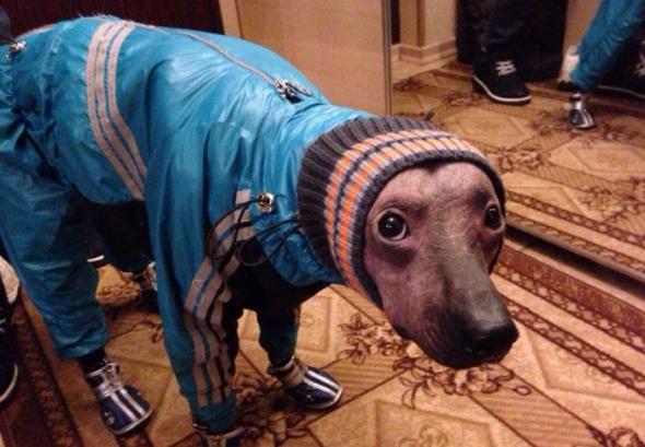 псэ-гопэ 