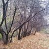 Моё, осень, октябрь, любимый квАртал)))) Моё, осень, октябрь, любимый квАртал))))