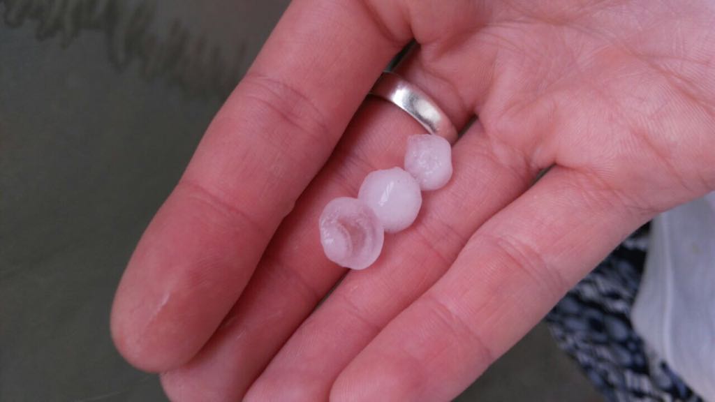 июльский сюрприз 