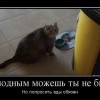 Котэ