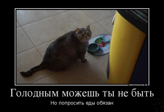 Котэ