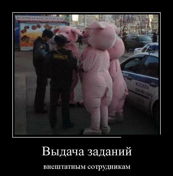 Выдача заданий