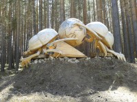 Лукоморье_024