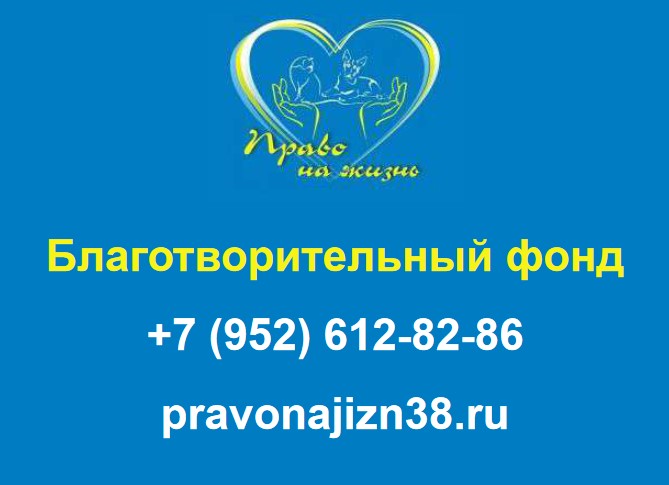 Право на жизнь контакты 