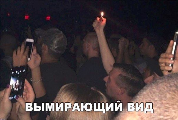 Вымирающий вид