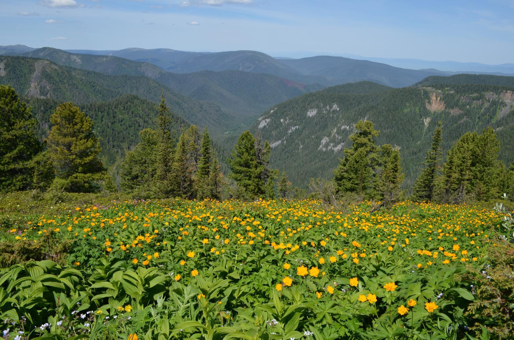 Хамар-Дабан 2018