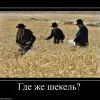 234264 gde-zhe-shekel 234264 gde-zhe-shekel