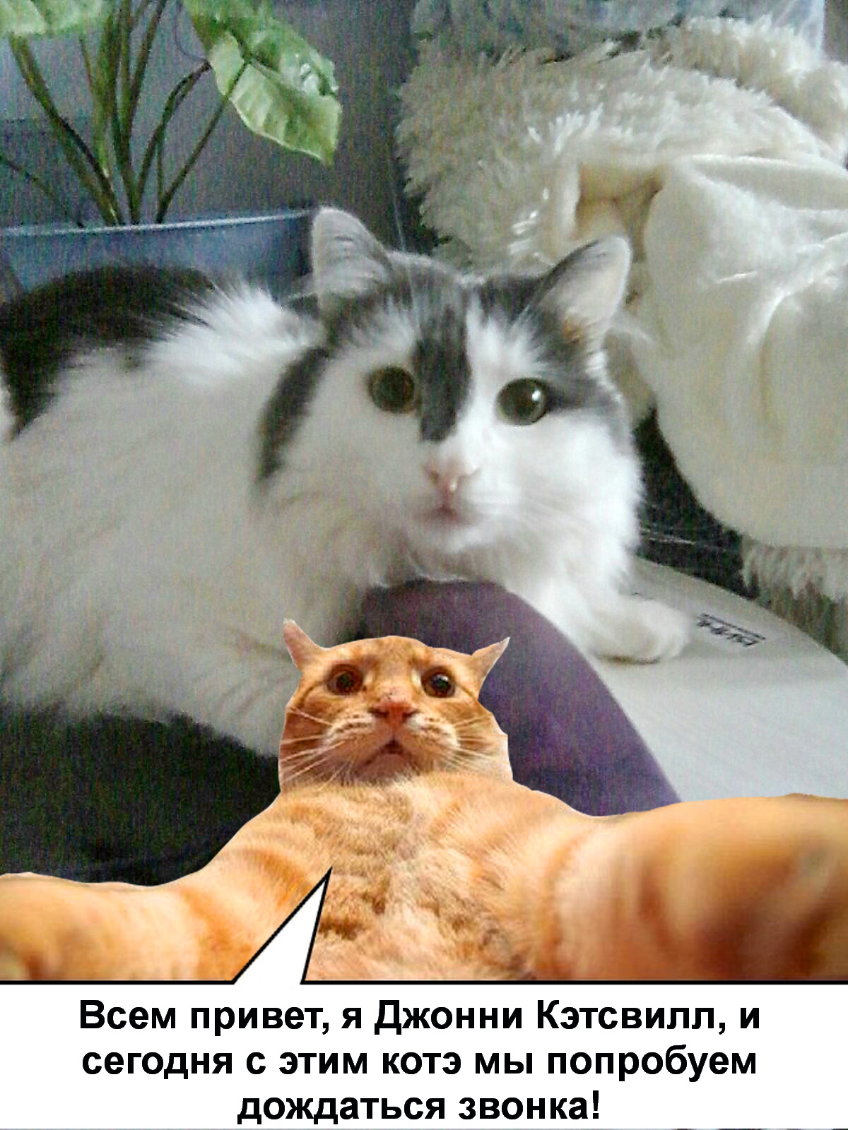 Всем привет! С вами Джонни Кэтсвилл и!!!!