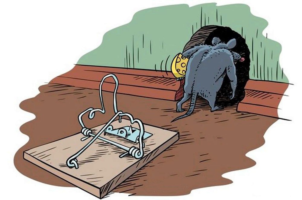 Улыбнуло