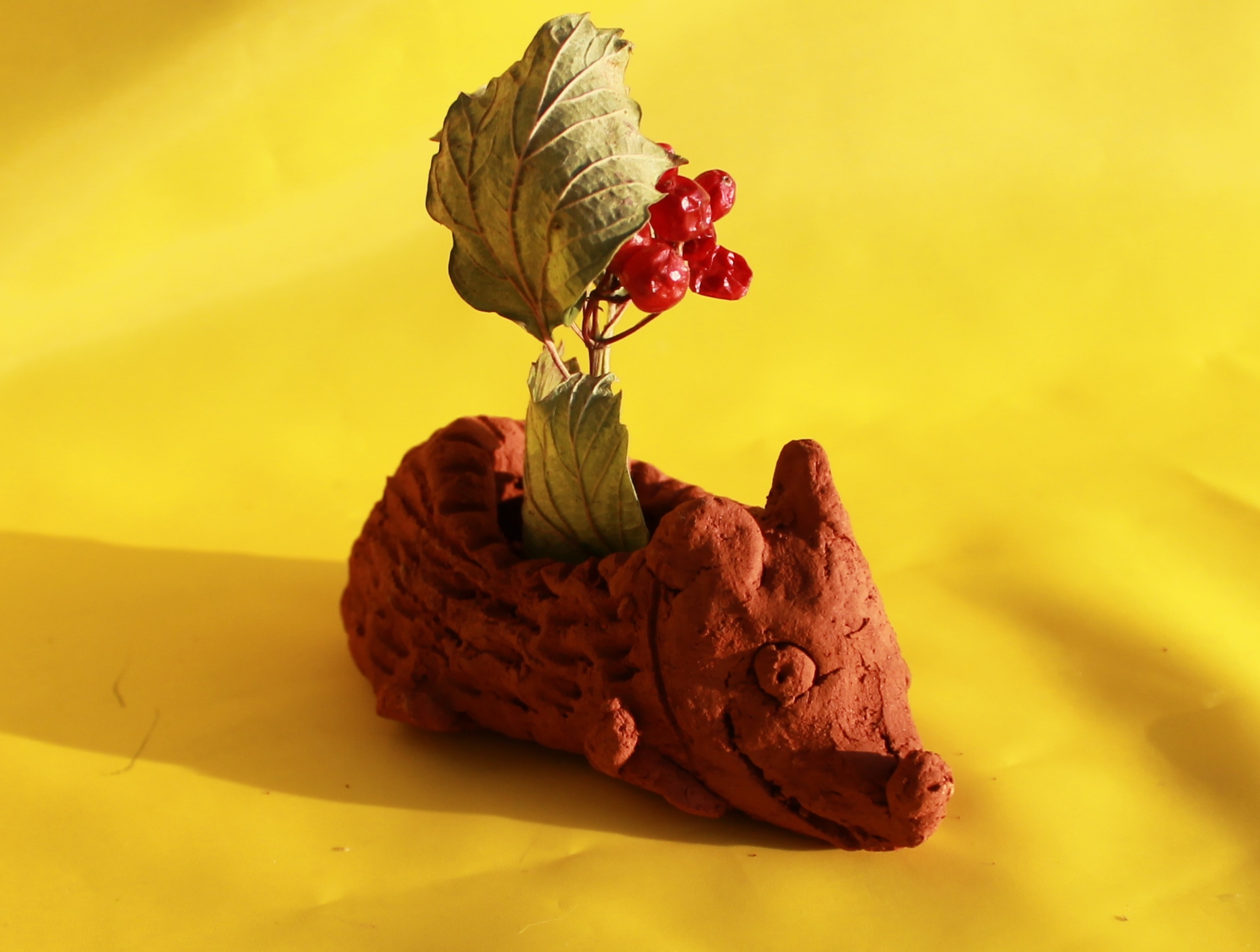 Янчук Алена 11лет