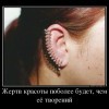 Жертва красоты