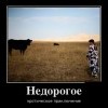 Эротическое приключение