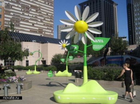 Wi-fi ромашки)))