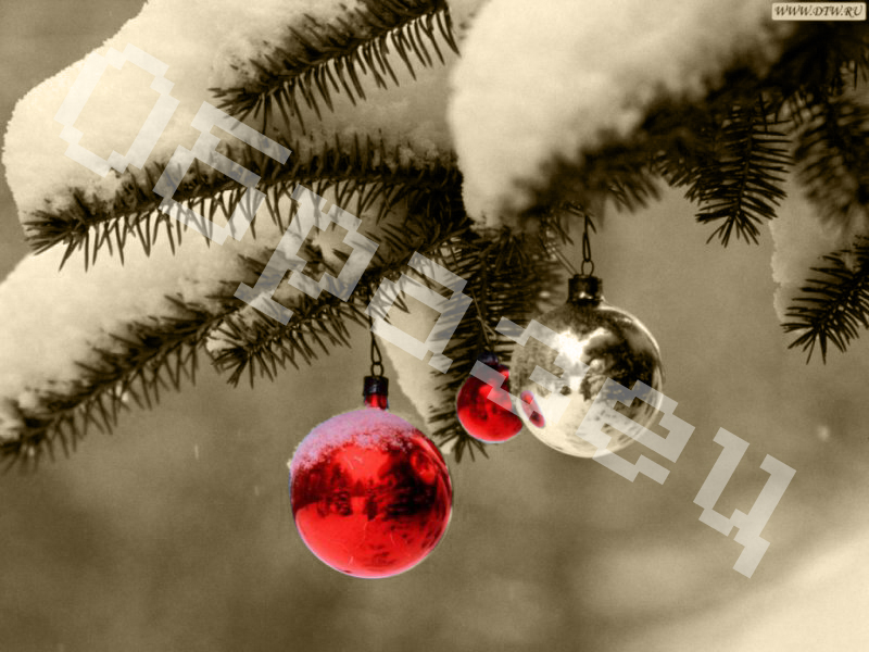 наполовину черно-белый