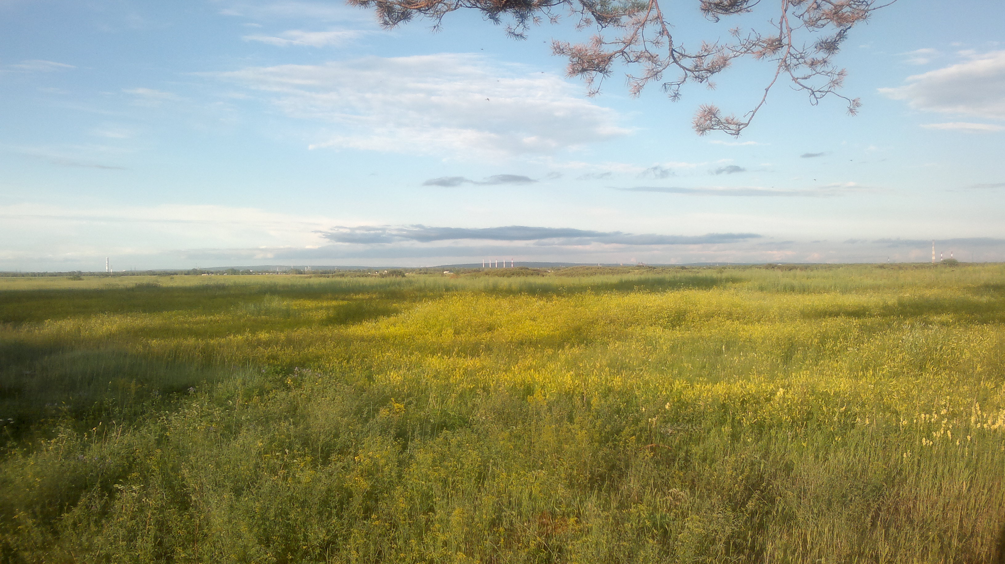 Где-то в "междумостье"...