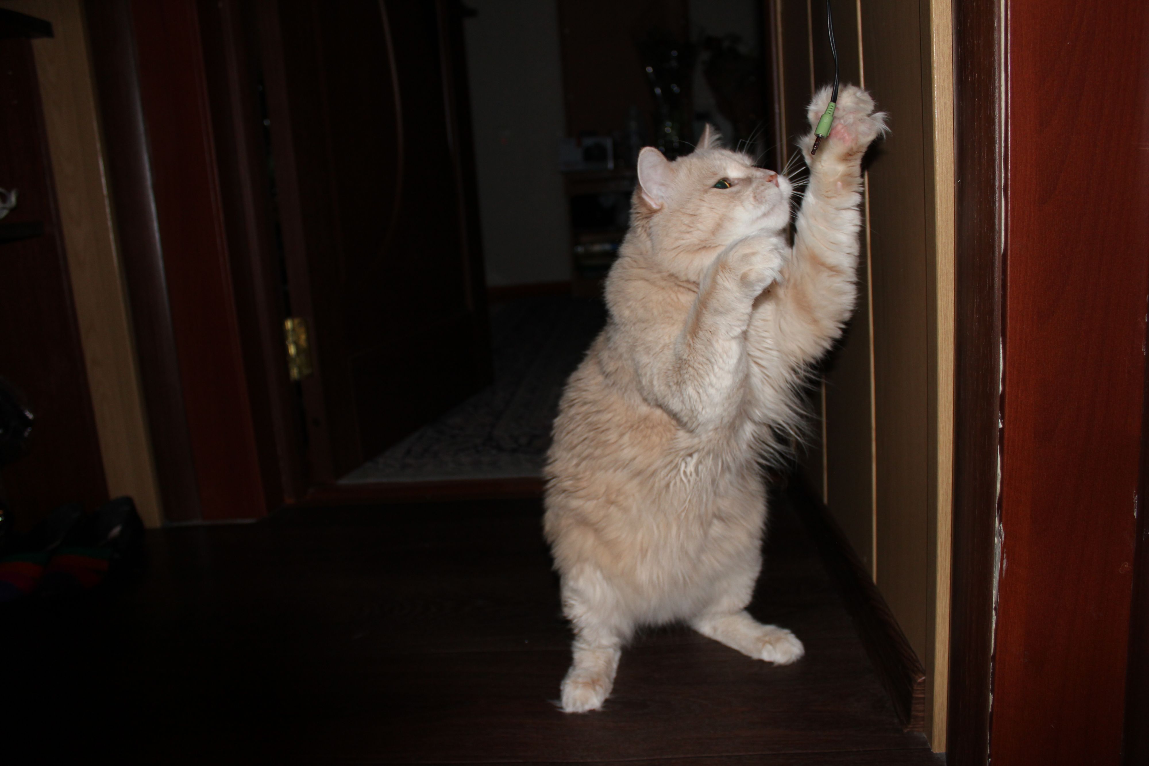 ну дай,ну пжалста)))