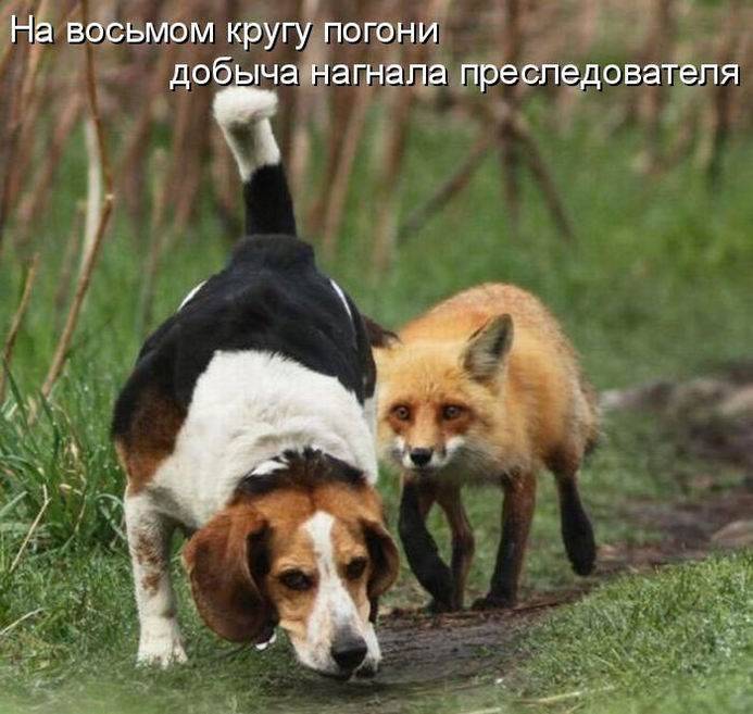 Охотничек ))))))))