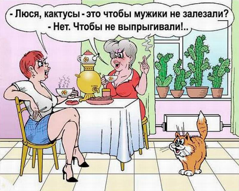 Кактусы
