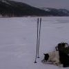 не успеешь вытащить фотик, а сумка уже оккупирована не успеешь вытащить фотик, а сумка уже оккупирована
