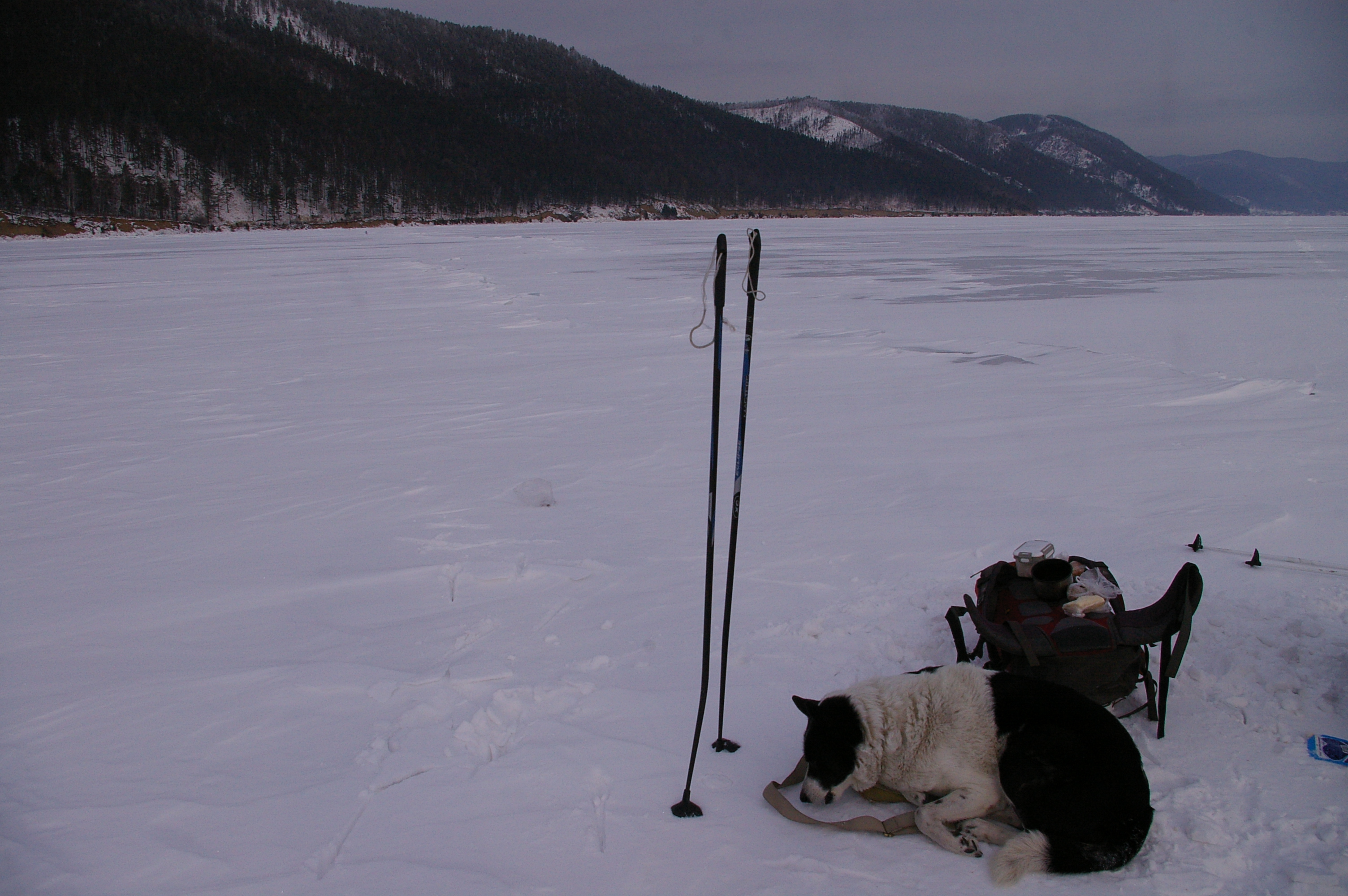 не успеешь вытащить фотик, а сумка уже оккупирована