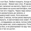 Шутка над котом Шутка над котом
