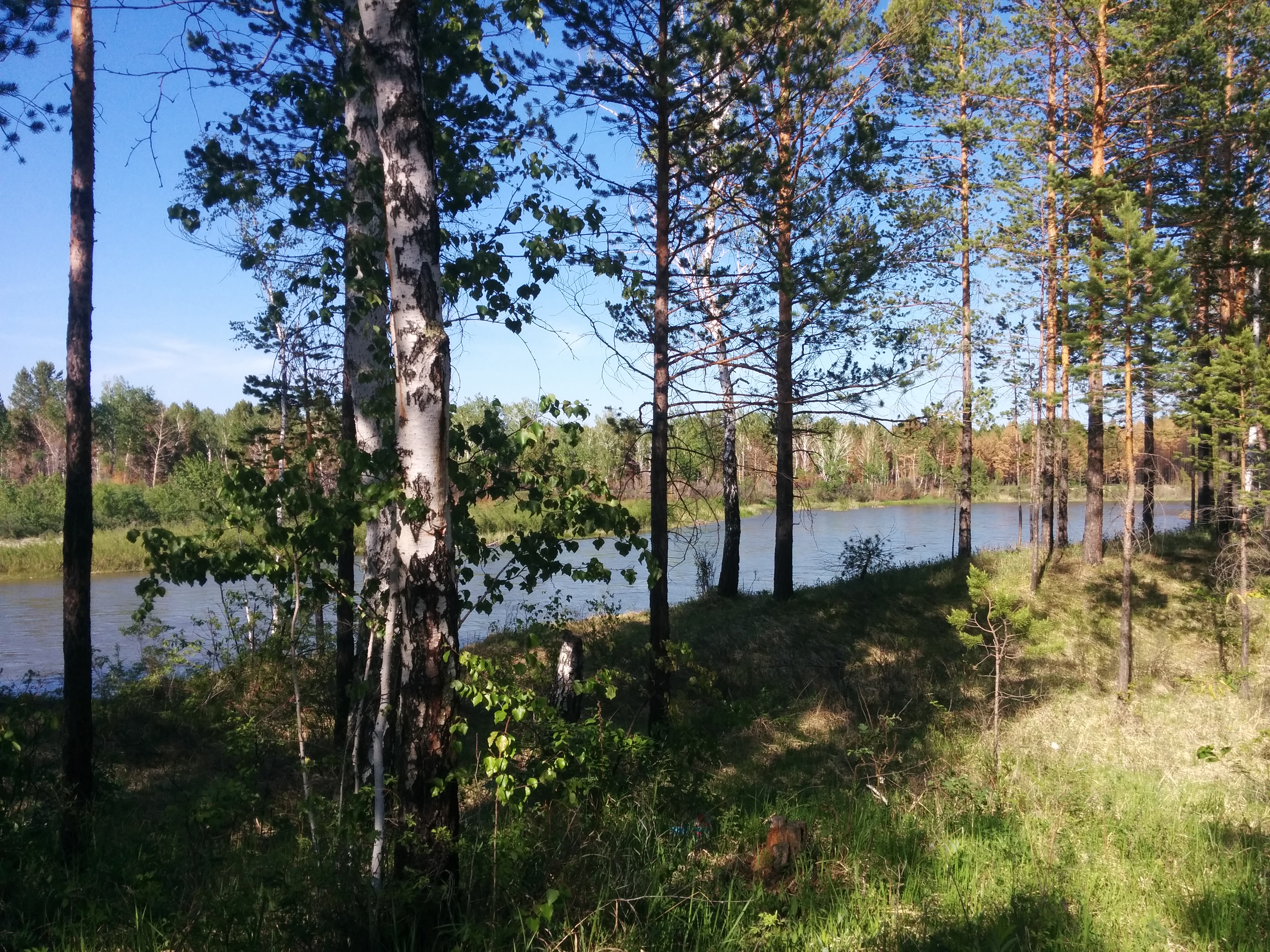IMG 20150612 175915