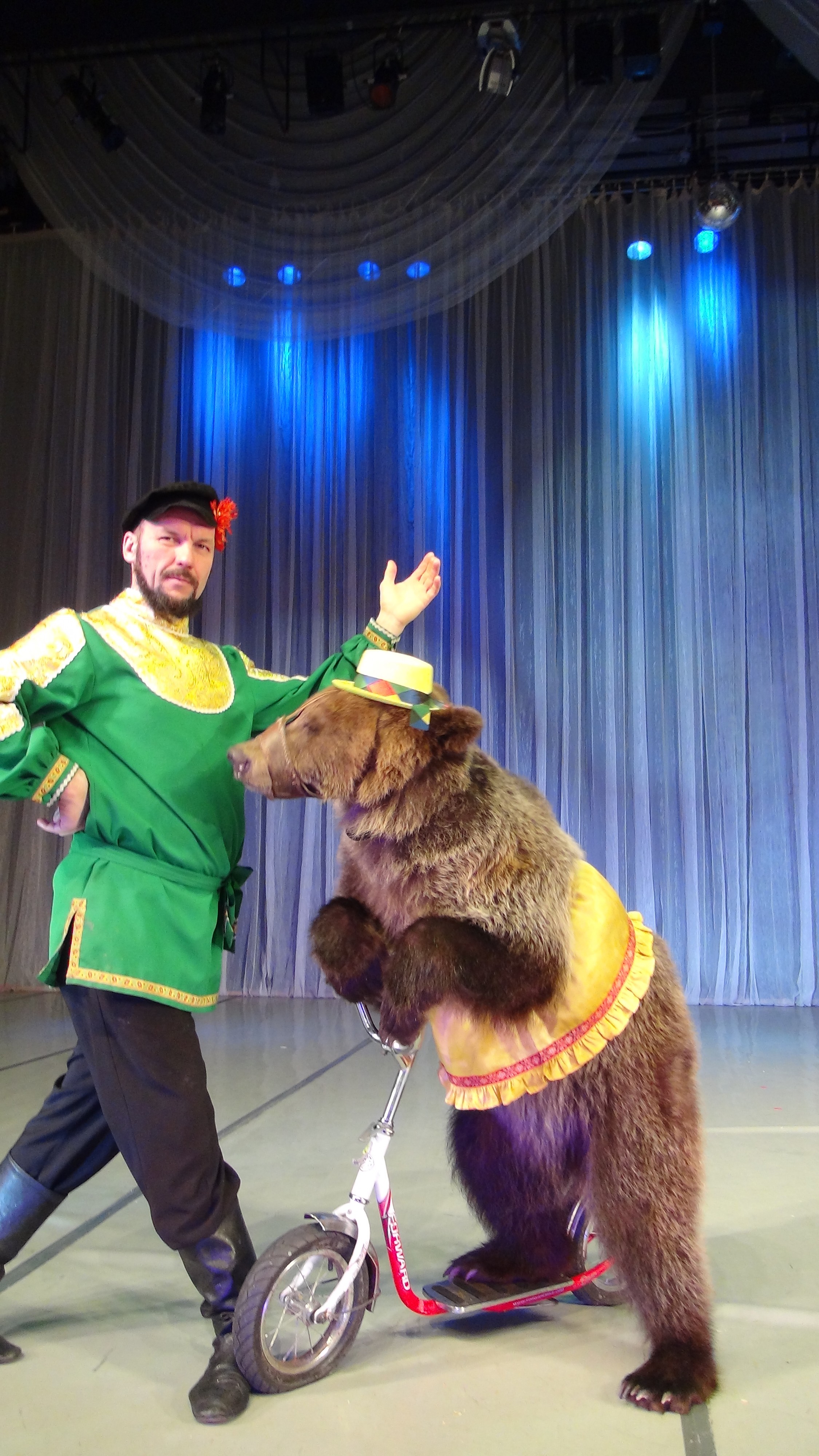 "Медведи на велосипеде"