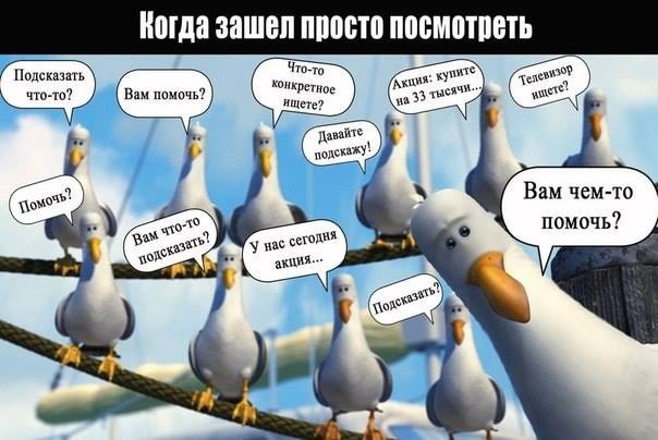 Когда зашел просто посмотреть