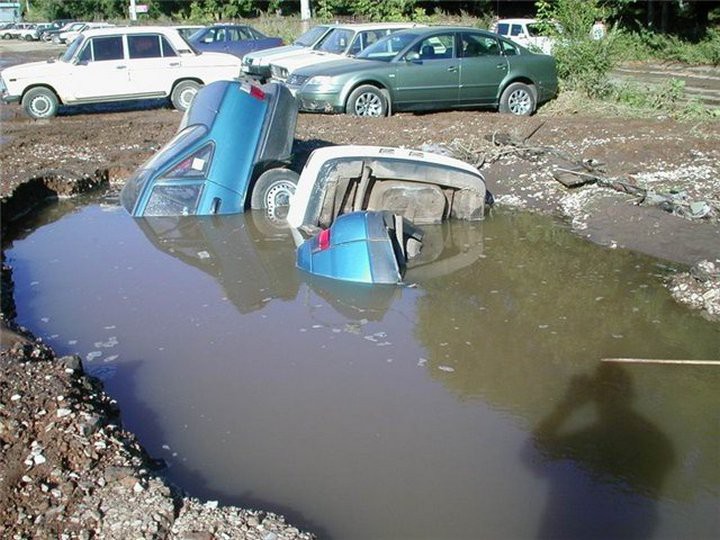 Здесь-рыбы нет
