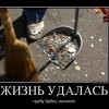 Жизнь удалась