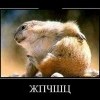 ЖПЧШЦ