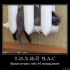 Тихий час