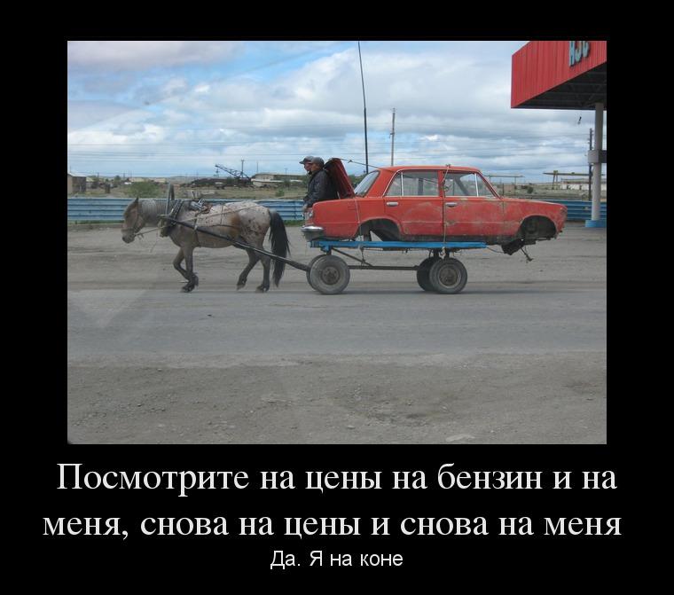На коне