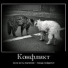 Конфликт