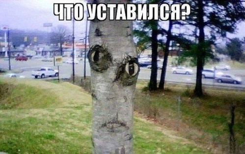 чо уставился?