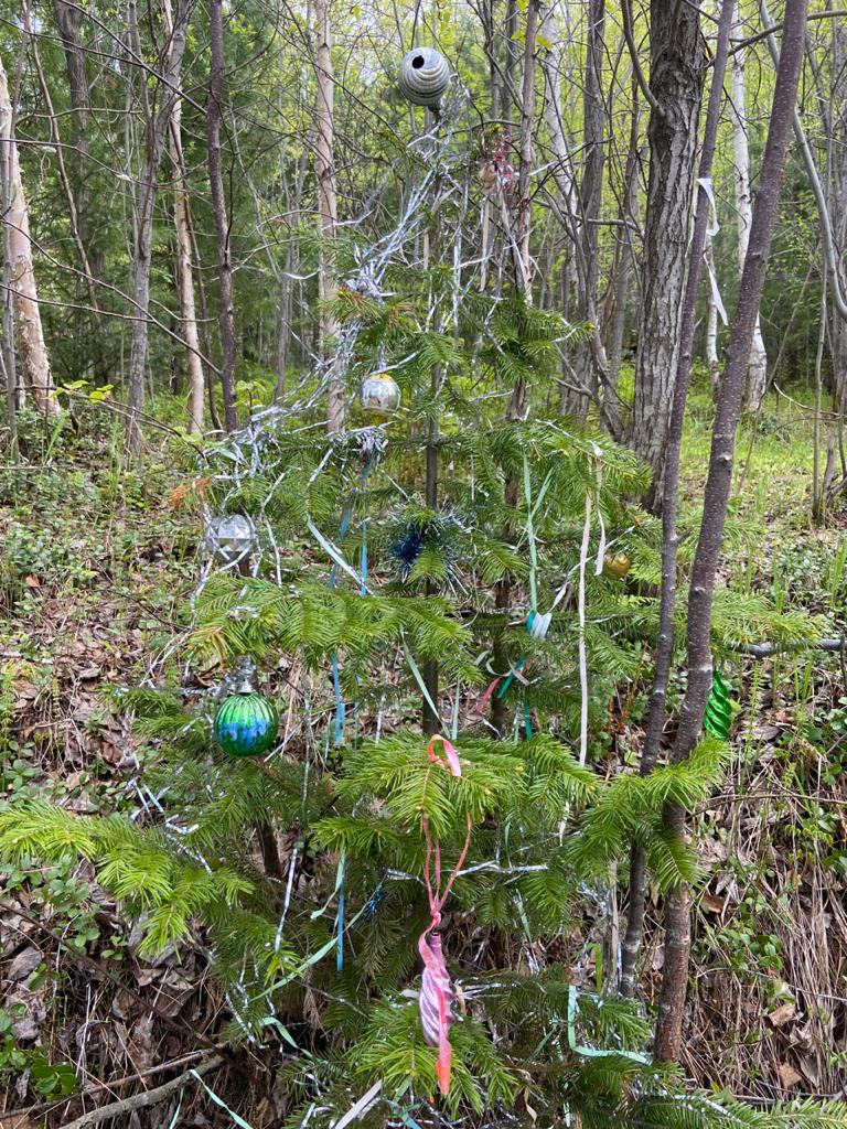 Новогодняя неожиданность!