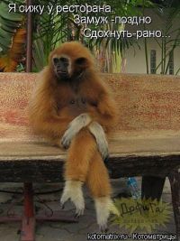 Опоздала замуж..