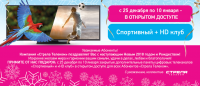Новый ГОД!!!