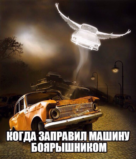 отбоярышниг