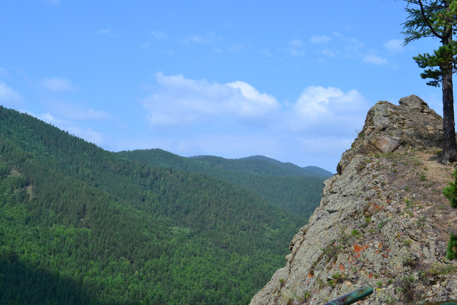 Большие КОты))))))