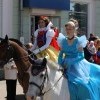 IMG 4733 IMG 4733