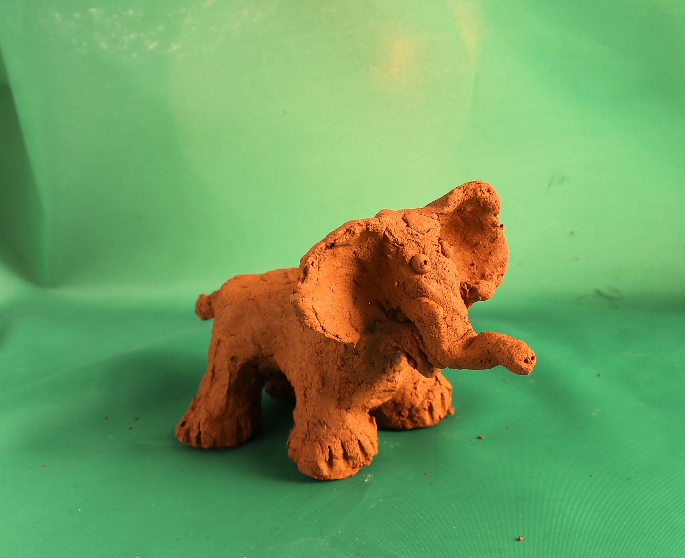 Соколова Алена