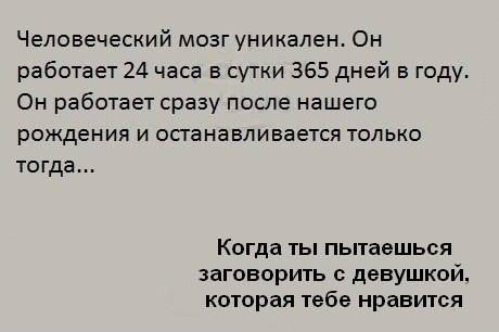 Мозг-уникален