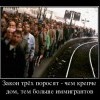 Закон трех поросят Закон трех поросят
