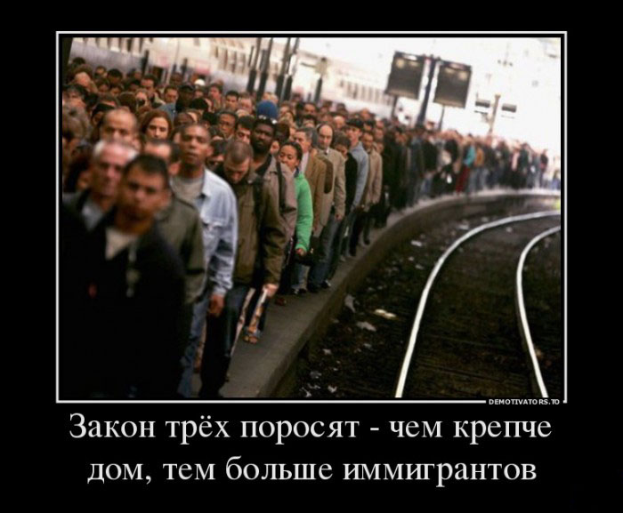 Закон трех поросят