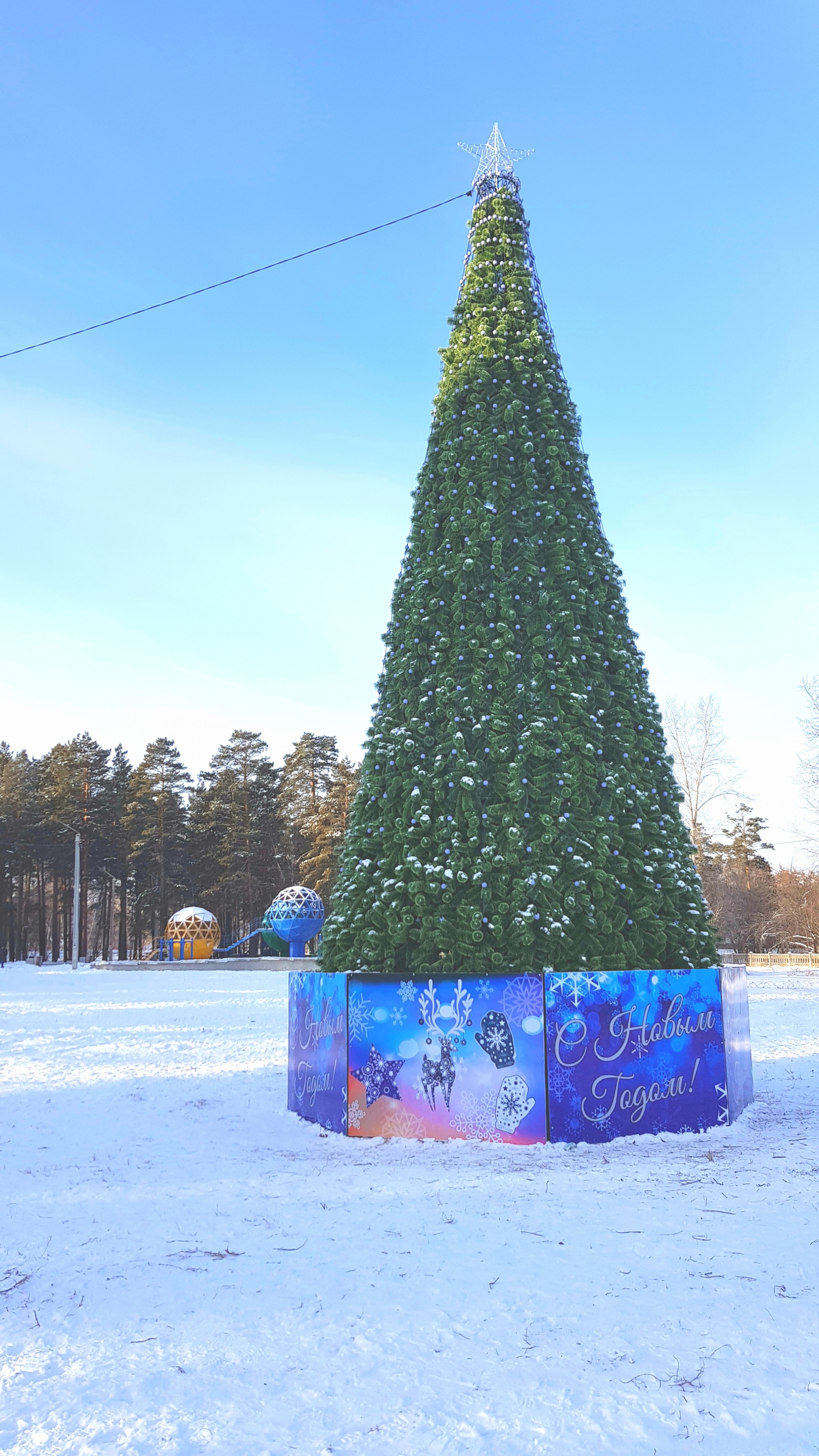 йолка за Савриком))) новый год гоу))))))