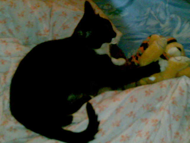 я и мой друг