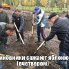 Работа  коллективная