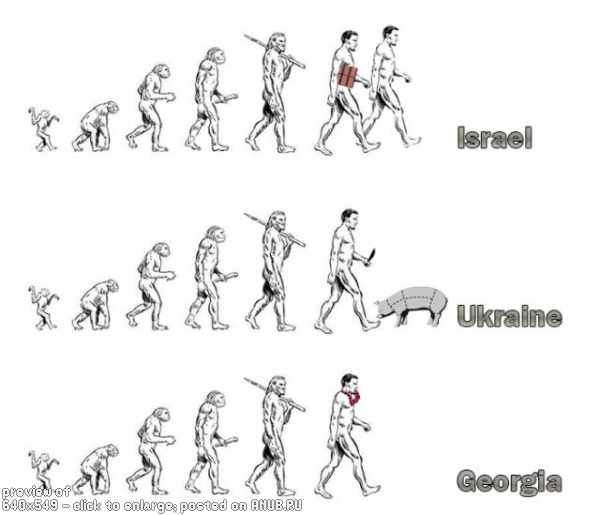 Эволюшен  карикатуршен