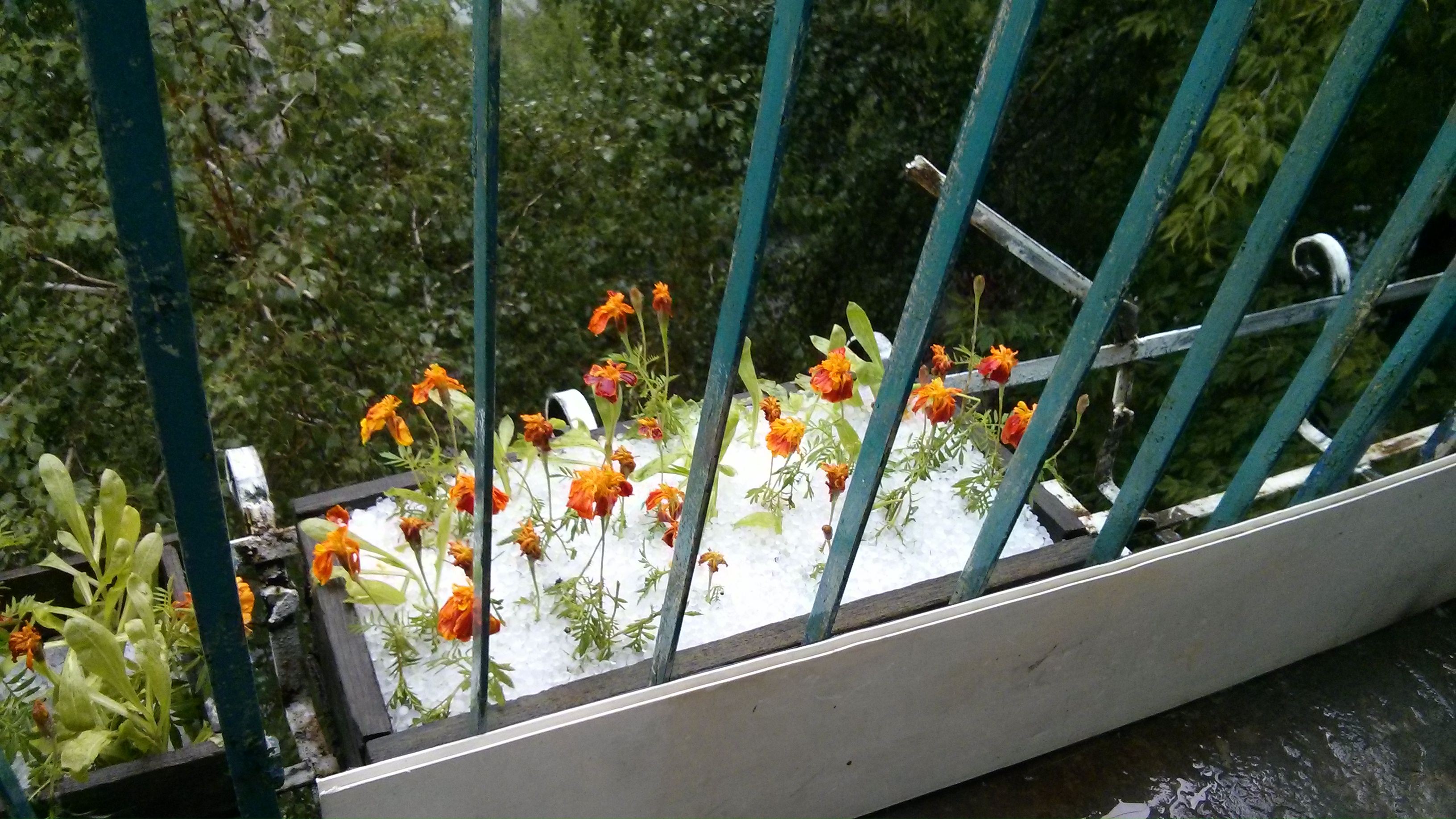 Град в Ангарске 04.08.2014